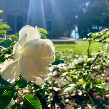 Santa Maria Al Poggio 3*